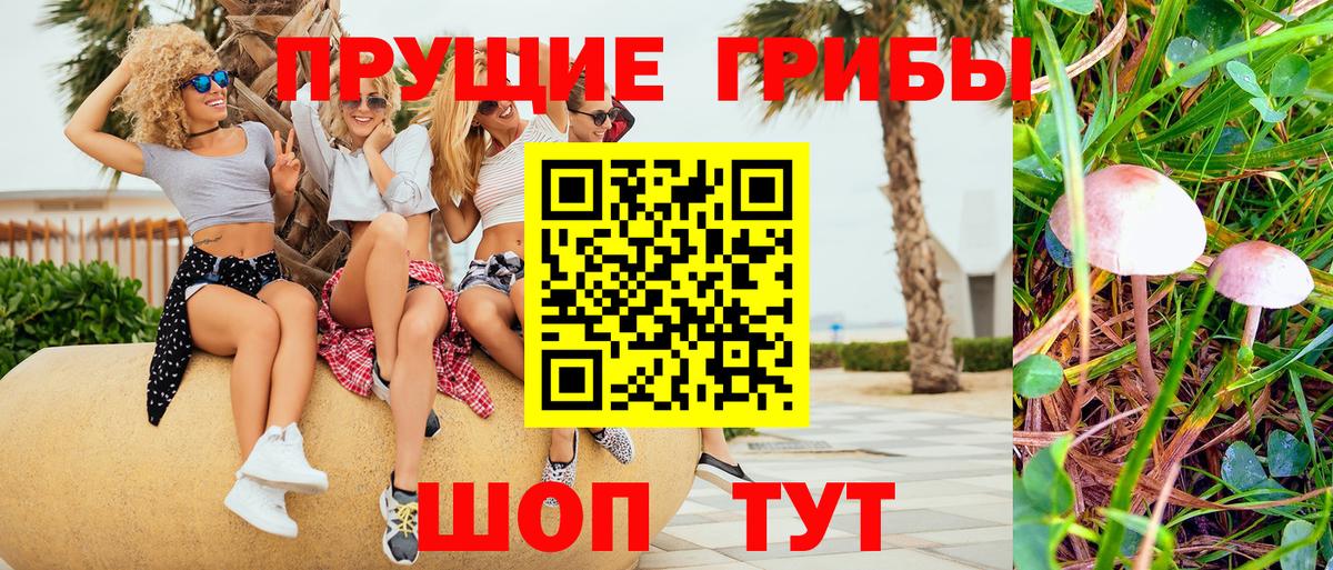 Иваново  Псилоцибиновые грибы ЛСД  Вход с VPN  Галлюциногенные грибы мицелий 