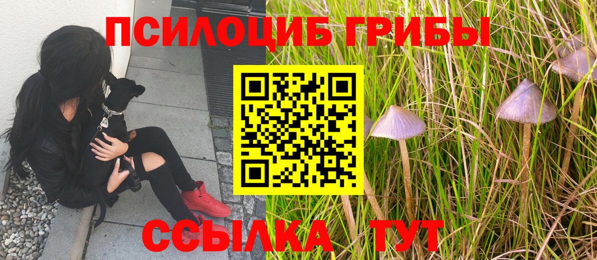 ГАШ  КОКАИН  Меф кристаллы  Иваново  Марихуана  Вход с VPN 